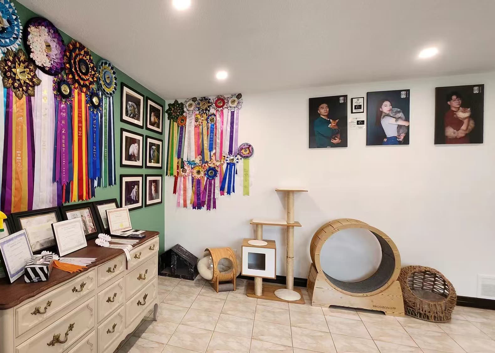 JILIANG Cattery