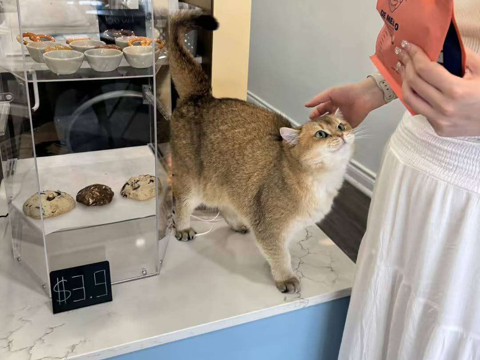 Mochi